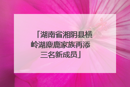 湖南省湘阴县横岭湖麋鹿家族再添三名新成员