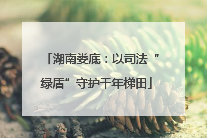 湖南娄底：以司法“绿盾”守护千年梯田