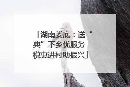 湖南娄底：送“典”下乡优服务 税惠进村助振兴