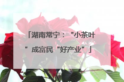 湖南常宁：“小茶叶”成富民“好产业”