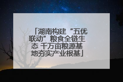 湖南构建“五优联动”粮食全链生态 千万亩粮源基地夯实产业根基