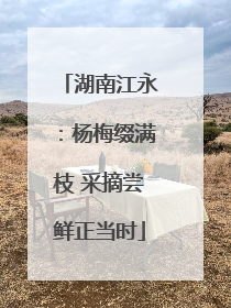 湖南江永：杨梅缀满枝 采摘尝鲜正当时
