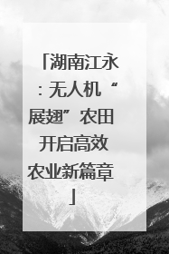 湖南江永：无人机“展翅”农田 开启高效农业新篇章