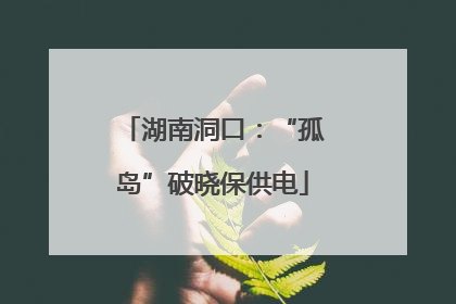 湖南洞口：“孤岛”破晓保供电