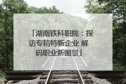 湖南铁科职院：探访专精特新企业 解码职业新图景