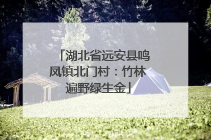 湖北省远安县鸣凤镇北门村：竹林遍野绿生金
