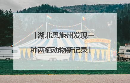 湖北恩施州发现三种两栖动物新记录