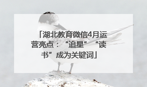 湖北教育微信4月运营亮点：“追星”“读书”成为关键词