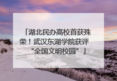 湖北民办高校首获殊荣！武汉东湖学院获评“全国文明校园”