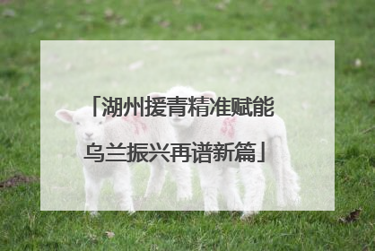 湖州援青精准赋能 乌兰振兴再谱新篇
