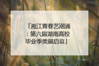 湘江青春艺潮涌：第六届湖南高校毕业季美展启幕