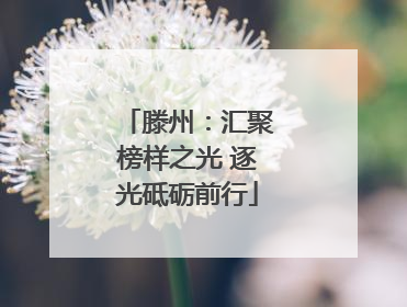 滕州：汇聚榜样之光 逐光砥砺前行