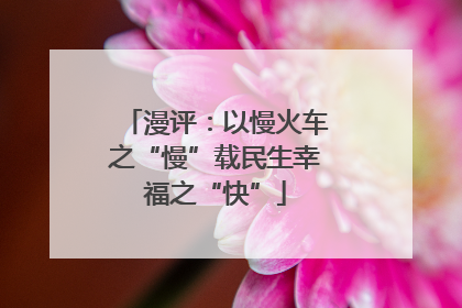 漫评：以慢火车之“慢”载民生幸福之“快”