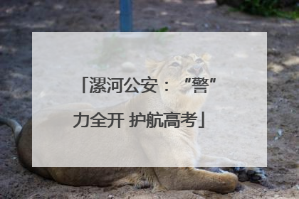漯河公安：“警”力全开 护航高考