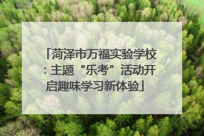 菏泽市万福实验学校：主题“乐考”活动开启趣味学习新体验