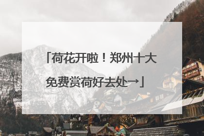 荷花开啦！郑州十大免费赏荷好去处→