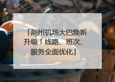 荆州机场大巴焕新升级！线路、班次、服务全面优化