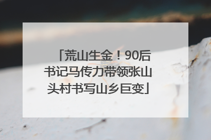 荒山生金！90后书记马传力带领张山头村书写山乡巨变