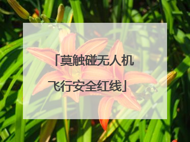 莫触碰无人机飞行安全红线