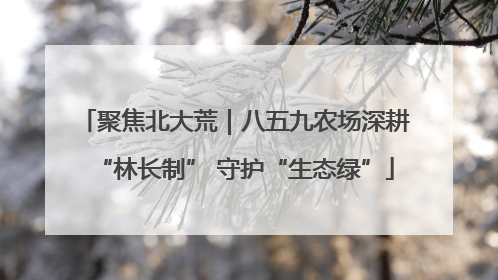 聚焦北大荒｜八五九农场深耕“林长制” 守护“生态绿”