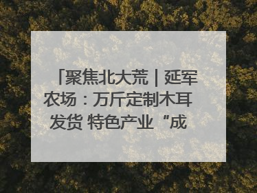 聚焦北大荒｜延军农场：万斤定制木耳发货 特色产业“成绩单”亮眼