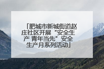 肥城市新城街道赵庄社区开展“安全生产 青年当先”安全生产月系列活动