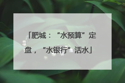 肥城：“水预算”定盘，“水银行”活水