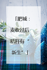 肥城：麦收过后秸秆有“新生”