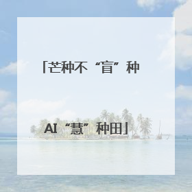 芒种不“盲”种 AI“慧”种田