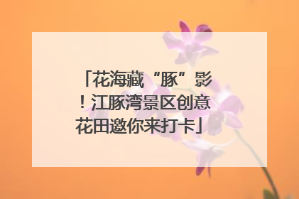花海藏“豚”影！江豚湾景区创意花田邀你来打卡