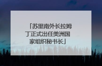 苏里南外长拉姆丁正式出任美洲国家组织秘书长