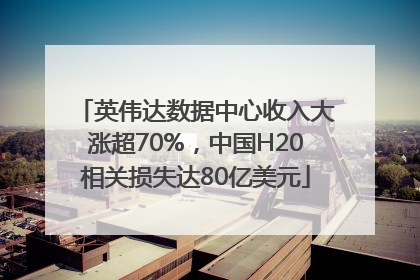 英伟达数据中心收入大涨超70%，中国H20相关损失达80亿美元