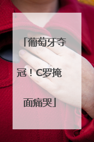 葡萄牙夺冠！C罗掩面痛哭