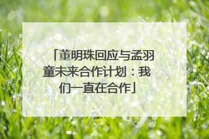董明珠回应与孟羽童未来合作计划：我们一直在合作