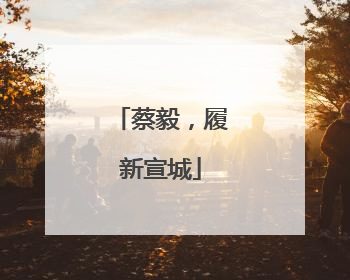 蔡毅，履新宣城