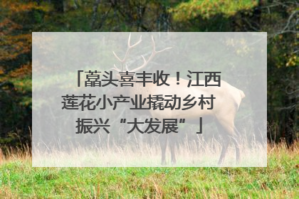 藠头喜丰收！江西莲花小产业撬动乡村振兴“大发展”