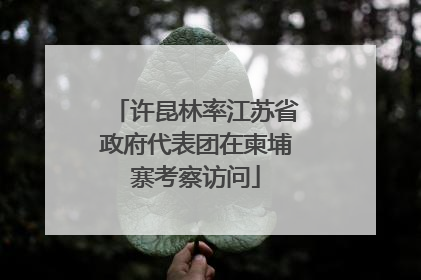 许昆林率江苏省政府代表团在柬埔寨考察访问