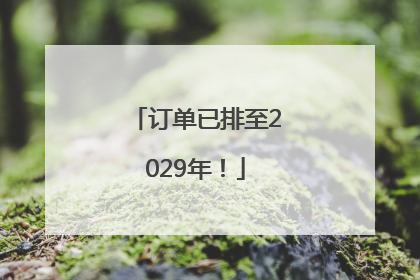 订单已排至2029年！
