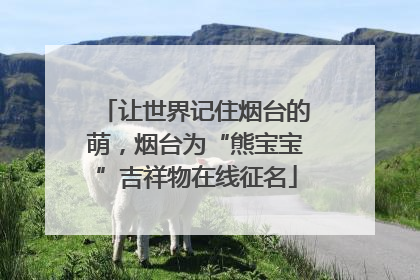让世界记住烟台的萌，烟台为“熊宝宝”吉祥物在线征名