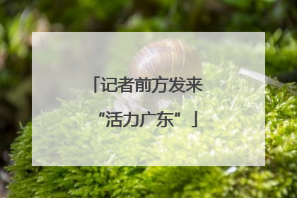 记者前方发来“活力广东”