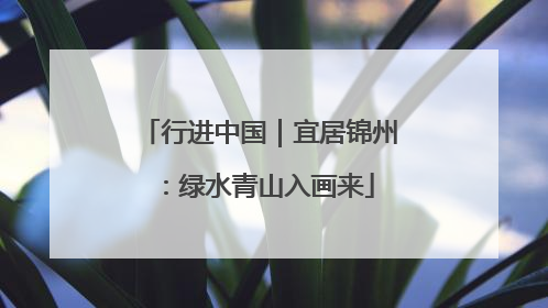 行进中国｜宜居锦州：绿水青山入画来