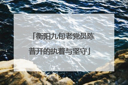 衡阳九旬老党员陈普开的执着与坚守