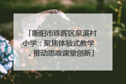 衡阳市珠晖区泉溪村小学：聚焦体验式教学，推动思政课堂创新