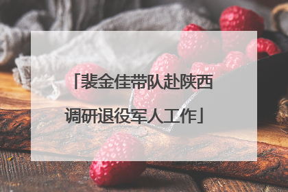 裴金佳带队赴陕西调研退役军人工作