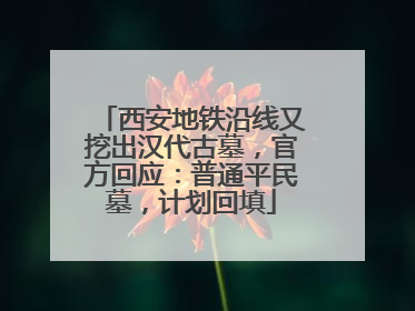 西安地铁沿线又挖出汉代古墓，官方回应：普通平民墓，计划回填