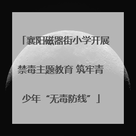 襄阳磁器街小学开展禁毒主题教育 筑牢青少年“无毒防线”
