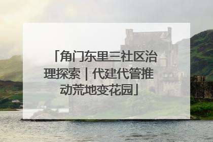 角门东里三社区治理探索｜代建代管推动荒地变花园