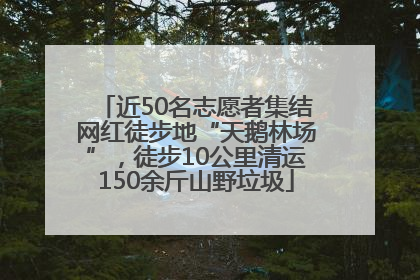 近50名志愿者集结网红徒步地“天鹅林场”，徒步10公里清运150余斤山野垃圾