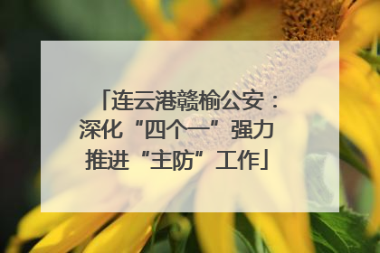 连云港赣榆公安：深化“四个一”强力推进“主防”工作