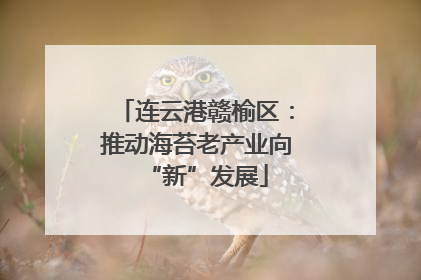 连云港赣榆区：推动海苔老产业向“新”发展